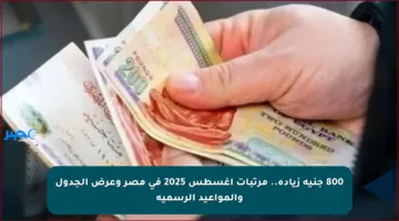 800 جنيه زيادة.. مرتبات أغسطس 2025 في مصر وعرض الجدول والمواعيد الرسمية